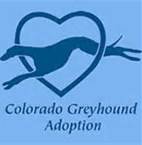 Colorado Greyhound Adoption