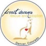 Ferret Dreams Rescue & Adoption