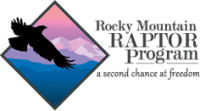 Rocky Mountain Raptor Program