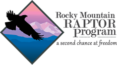 Rocky Mountain Raptor Program