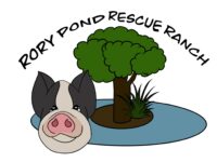 Rory Pond Rescue Ranch